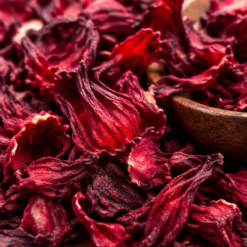 Flor de Jamaica